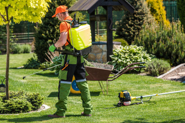 Best Bee and Wasp Removal  in Rockford, MI